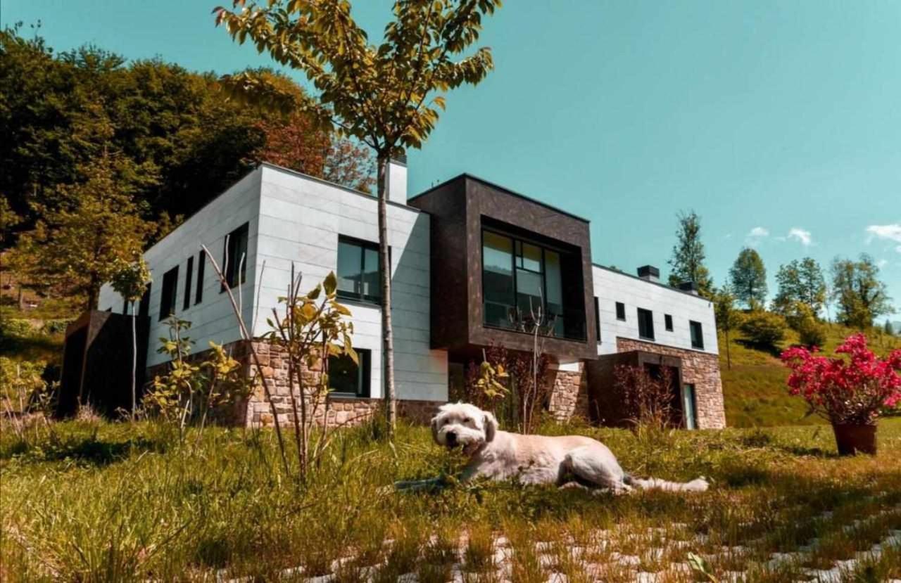 Bergaretxe Geltokia Legazpia Exterior foto
